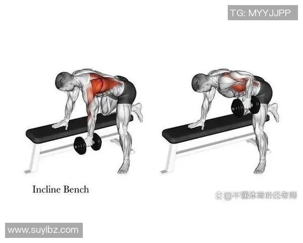 掌握哑铃划船动作要领提升背部力量与肌肉线条的完美指南